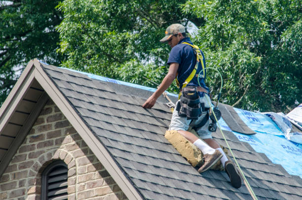 Best Best Roofing Contractors  in Lake Holm, WA
